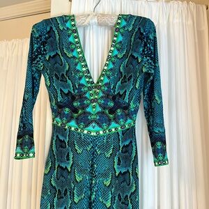 Roberto Cavalli maxi dress